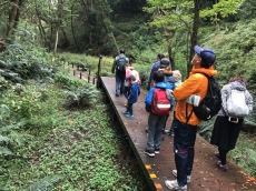 ☆小網代の森ウォーキング大会